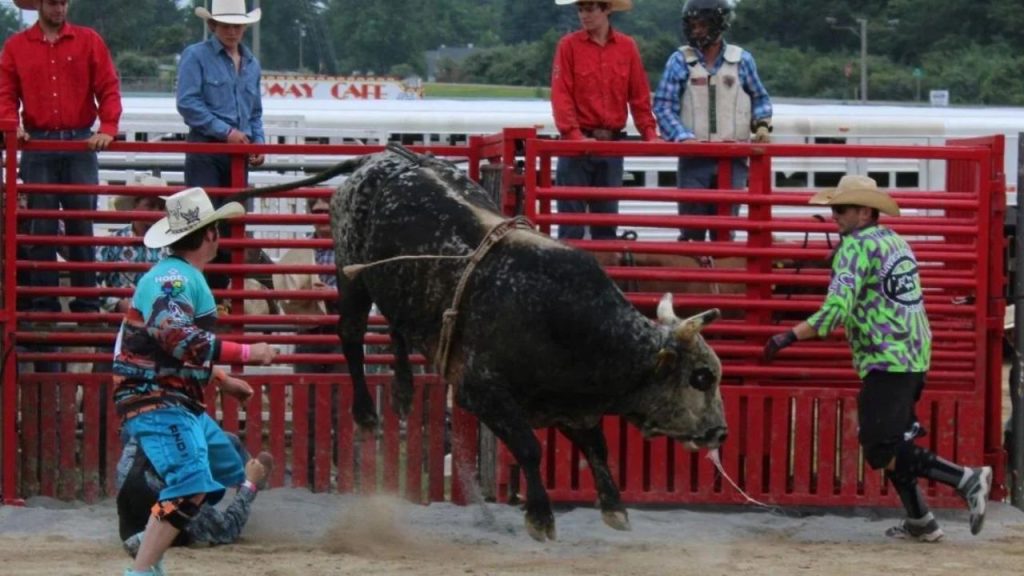 Richland County Fair 2025 Full Schedule, Admission Info, and Grandstand Events (1)