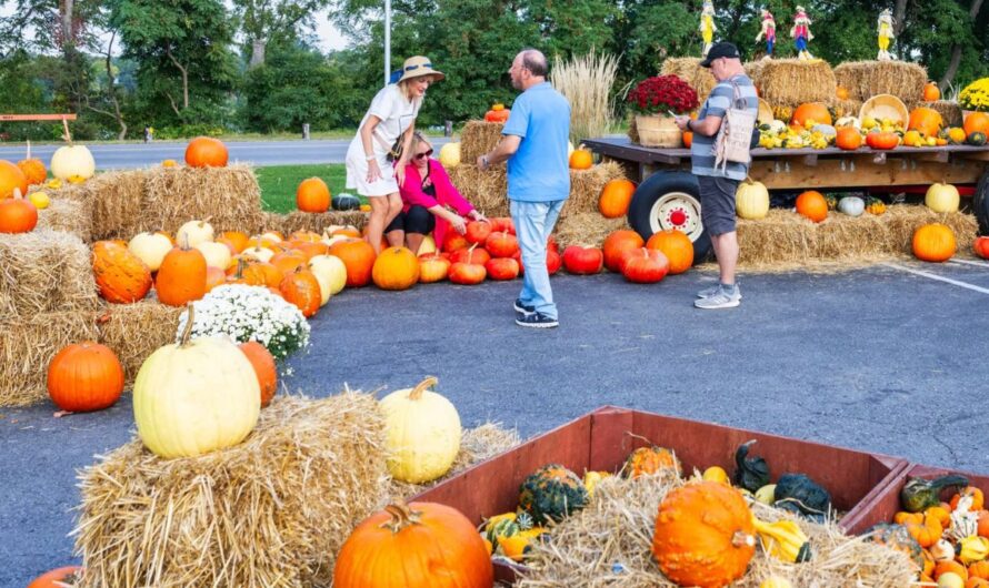 Riverton Fall Harvest Festival and Fair 2025: Full Schedule, Admission Info, and Events