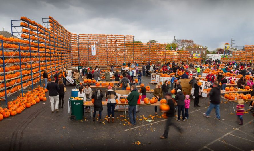 Salem Harvest Festival 2025 in Illinois: Dates, Food, Rides, and Entertainment Lineup
