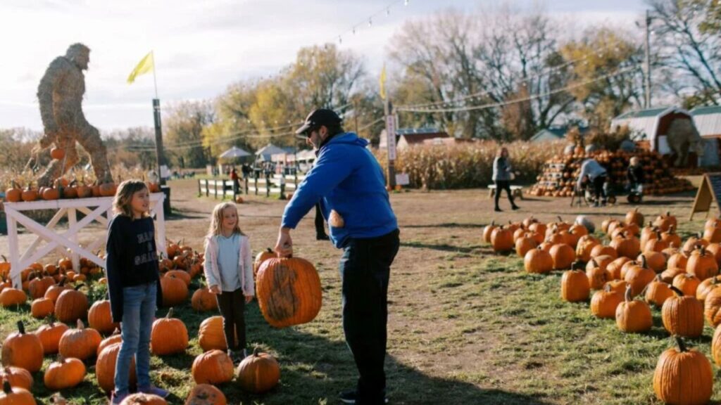 Stewartville Fall Fair 2025 Full Schedule, Admission Info, and Grandstand Events (2)