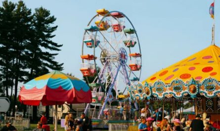 Stewartville Fall Fair 2025 Full Schedule, Admission Info, and Grandstand Events