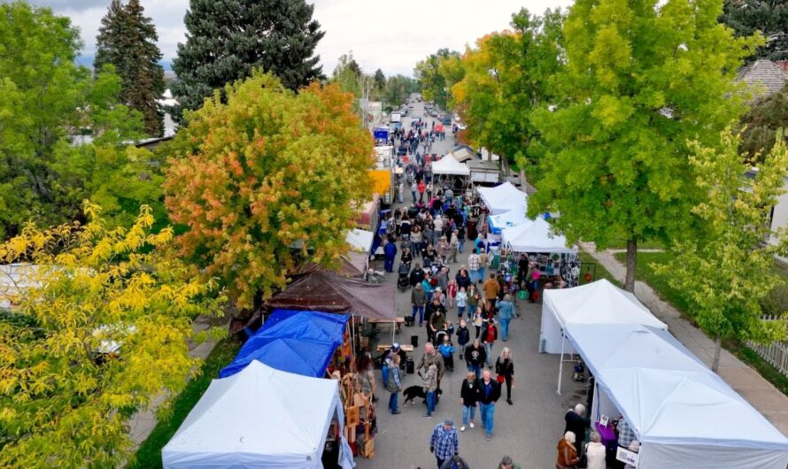 Townsend Fall Fest 2025: Full Schedule, Admission Info, and Grandstand Events