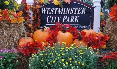 Westminster Fall Fest & Fair 2025 Full Schedule, Admission Info, and Grandstand Events and Attractions (1)