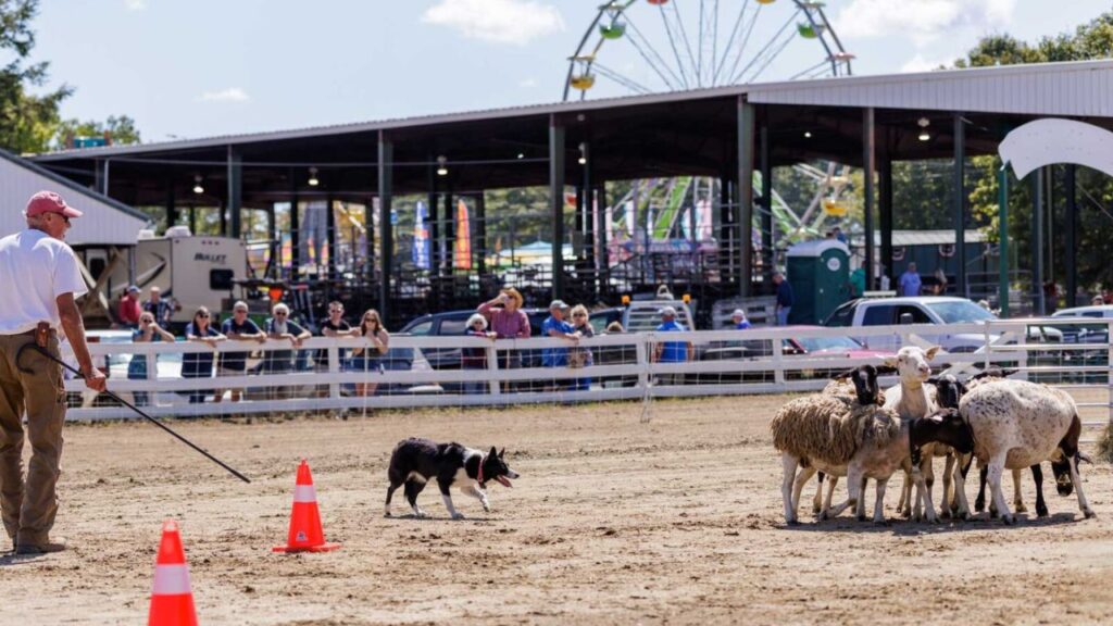 Windsor Fall Weekend Festival and Fair 2025 Full Schedule, Admission Info, and Grandstand Events