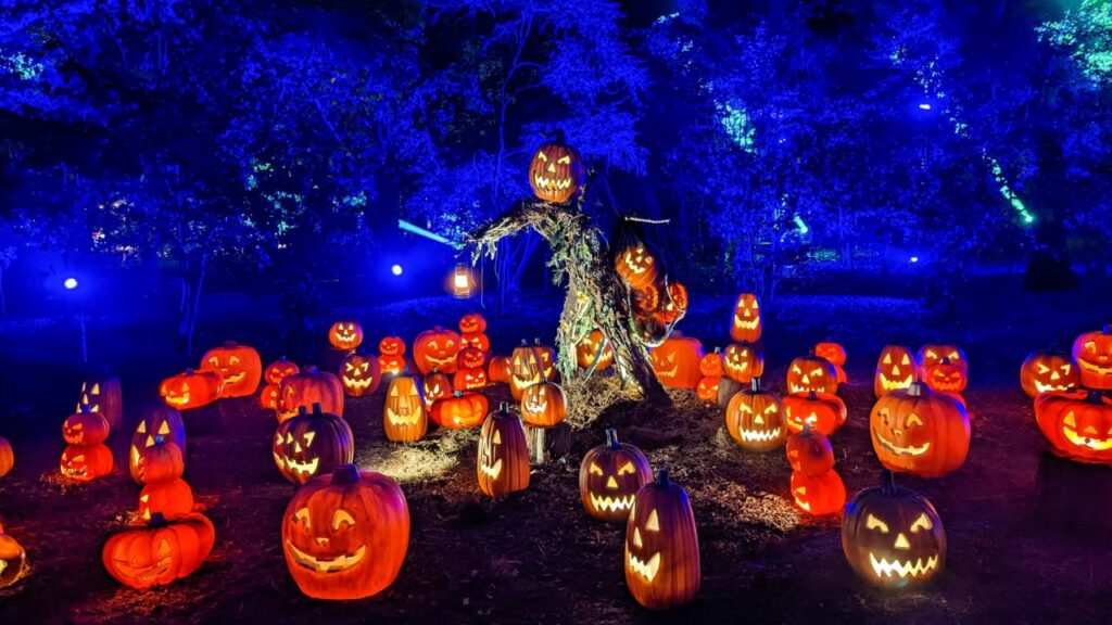 All-Hallows Fair Sacramento 2025 Dates, Admission, Attractions, and Entertainment (1)