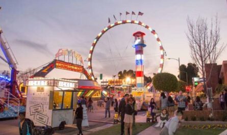 Camellia City Festival Festival 2025 Complete Schedule, Venue, and Entertainment Highlights