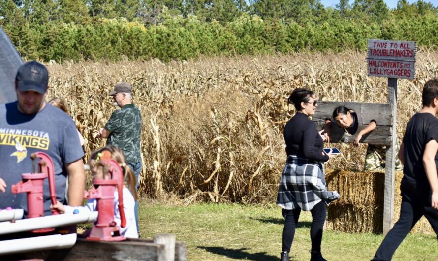 Carters’ Fall Festival 2025: Full Schedule, Admission Info, and Grandstand Events