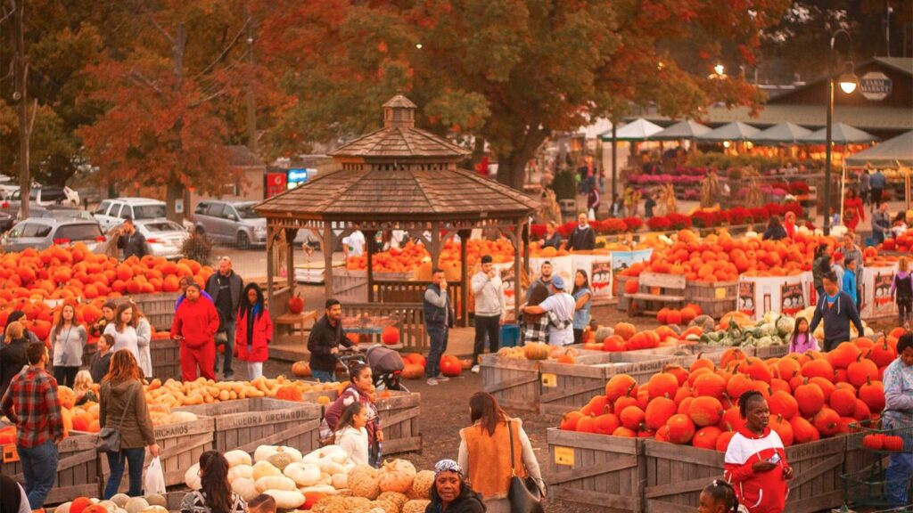Chester Fall Festival 2025 Food, Music, Rides, and Seasonal Activities