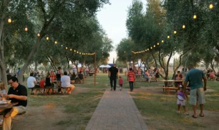 Chino Valley Harvest Festival 2025 Full Schedule, Admission Info, Competitions and Grandstand Events