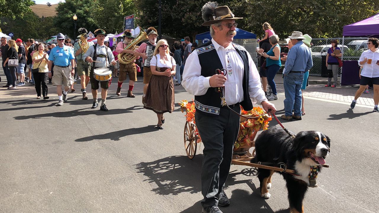 Clayton Oktoberfest 2025 Full Schedule, Admission Info, and Grandstand Events= (1)