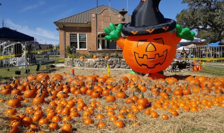 Covington Fall Festival 2025: Schedule, Venue, Kids’ Rides, and What to Expect