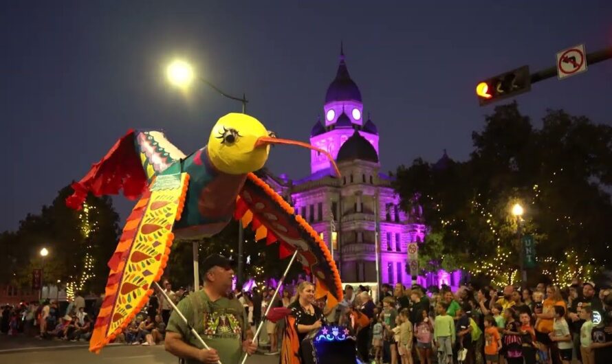 Denton’s Favorite Fall Festival 2025: Full Schedule, Admission Info, Rodeos and Grandstand Events