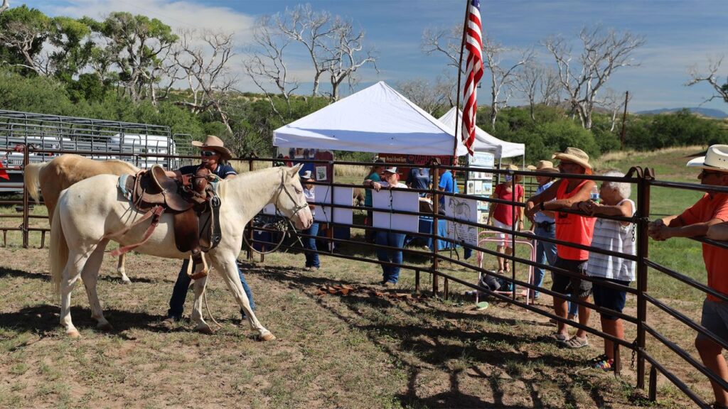 Empire Ranch Cowboy Festival 2025 Full Schedule, Activities, Trail Rides and Grandstand Events