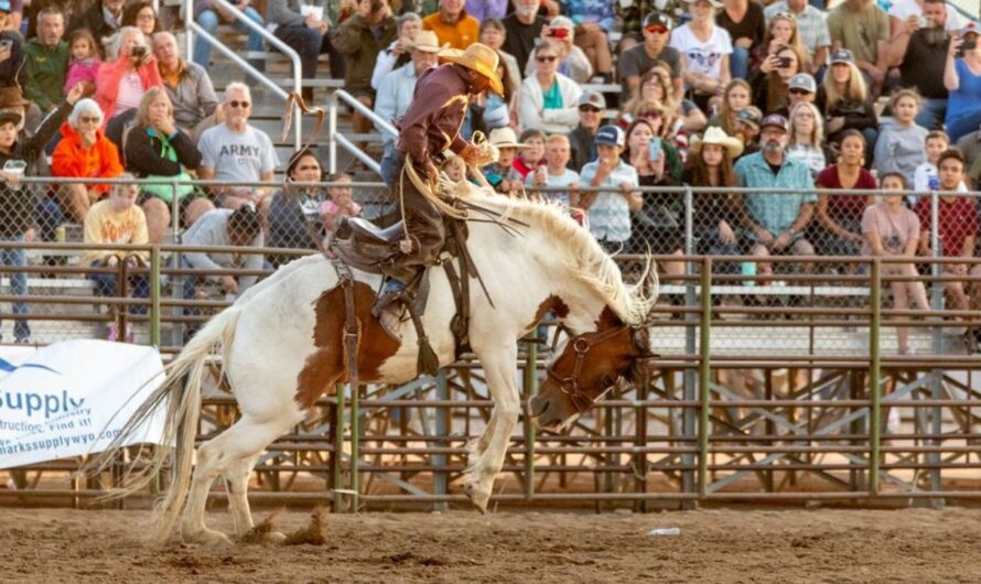 Empire Ranch Cowboy Festival 2025: Full Schedule, Activities, Trail Rides and Grandstand Events