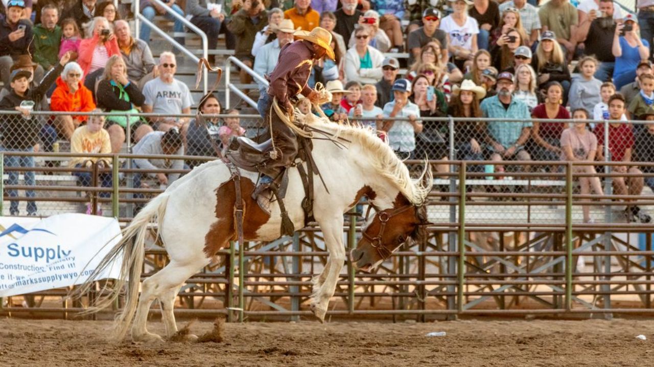 Empire Ranch Cowboy Festival 2025 Full Schedule, Activities, Trail Rides and Grandstand Events