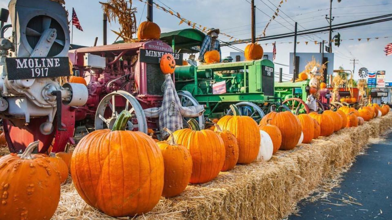Fresno County Halloween Events 2025 Pumpkin Patches, Haunted Houses & More