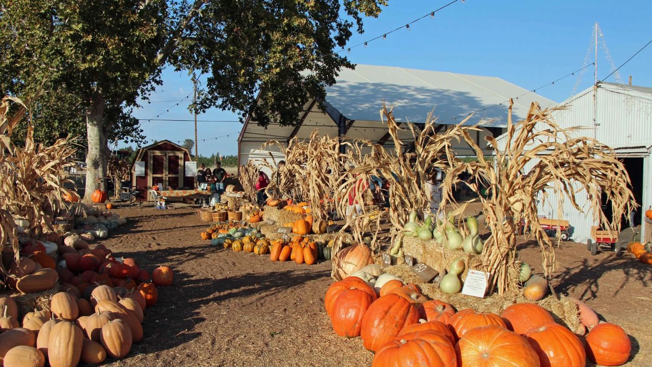 Halloween 2025 Events Across Tulare County Family Fun, Fall Festivals & Spooky Celebrations