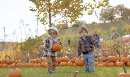 Harbor Harvest Festival 2025 Full Schedule, Admission Info, Activities and Entertainment Line-up in Washington