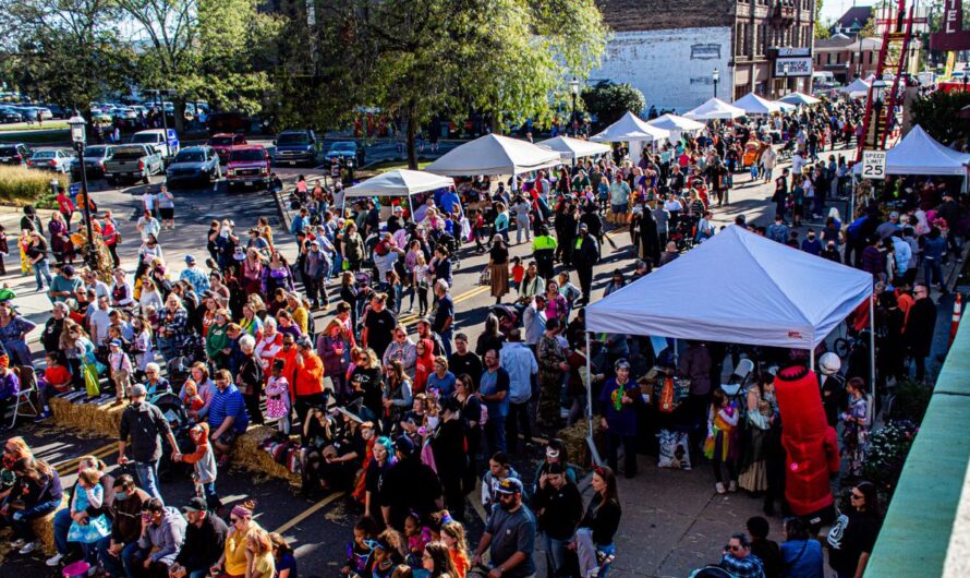 Hocus Pocus Fall Market and Fair 2025: Full Schedule, Admission Info, and Grandstand Events and Competitions
