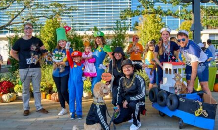 Houston Gears Up for Spooky Fun Halloween Festivals, Costume Contests, and Family Events Across the City