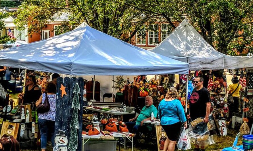 Hwy 87 Fall Market 2025: Date, Location, Food, and Family Fun Guide