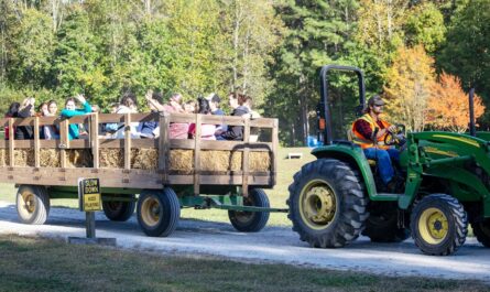 Johns Island Harvest Festival in Florida 2025 Food, Rides, and Entertainment Details