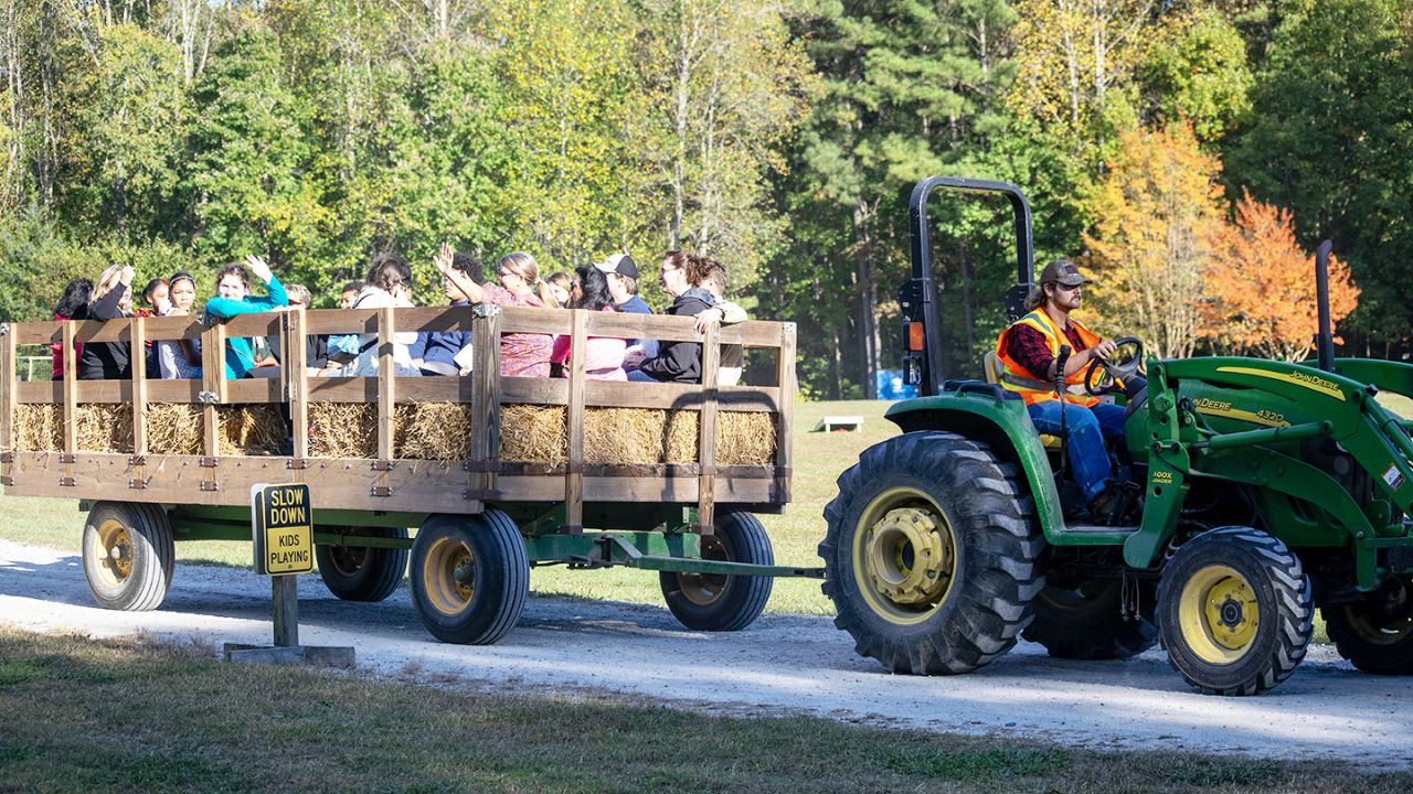 Johns Island Harvest Festival in Florida 2025 Food, Rides, and Entertainment Details