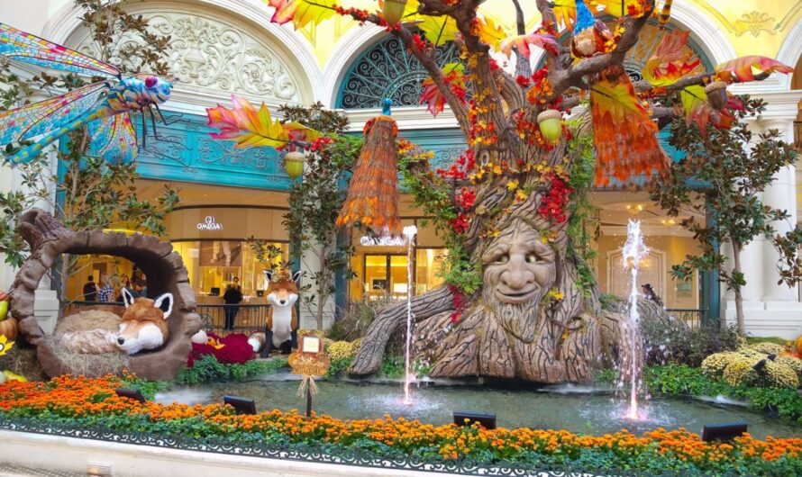 Las Vegas Fall Craft Festival 2025: Full Schedule, Admission Info, Competitions and Grandstand Events