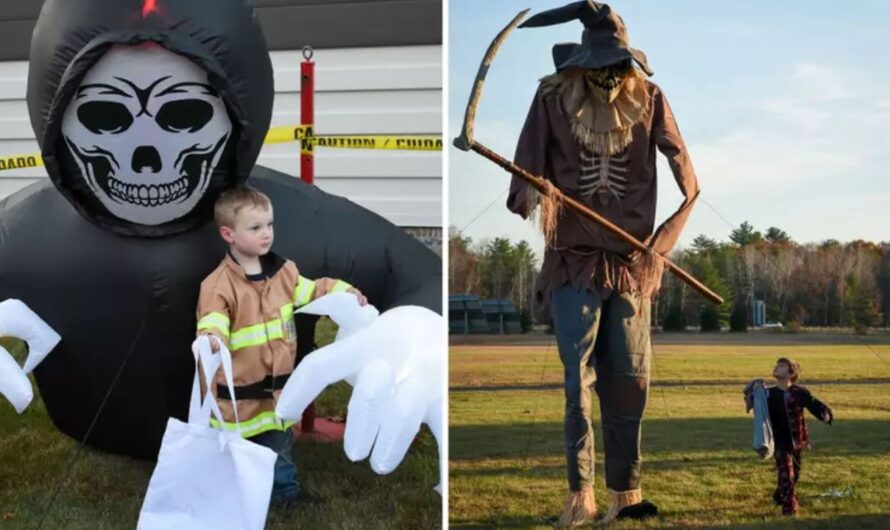 Lewiston Fall Weird Fair 2025: Full Schedule, Quirky Attractions, Costumes, Food, and Family Fun