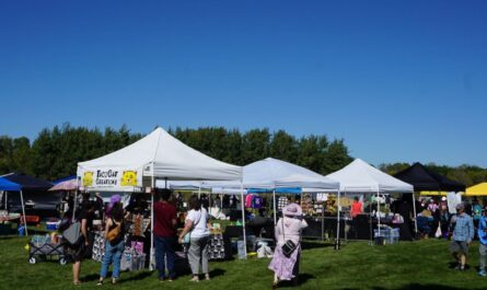 Madison Vegan Fest 2025 Full Schedule, Music, and Kid-Friendly Fun and Events (1)