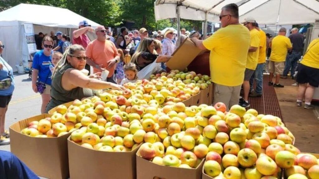 Manton Apple Festival 2025 Full Schedule, Attractions, and Apple Delights (1)