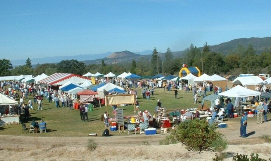 Manton Apple Festival 2025: Full Schedule, Attractions, and Apple Delights