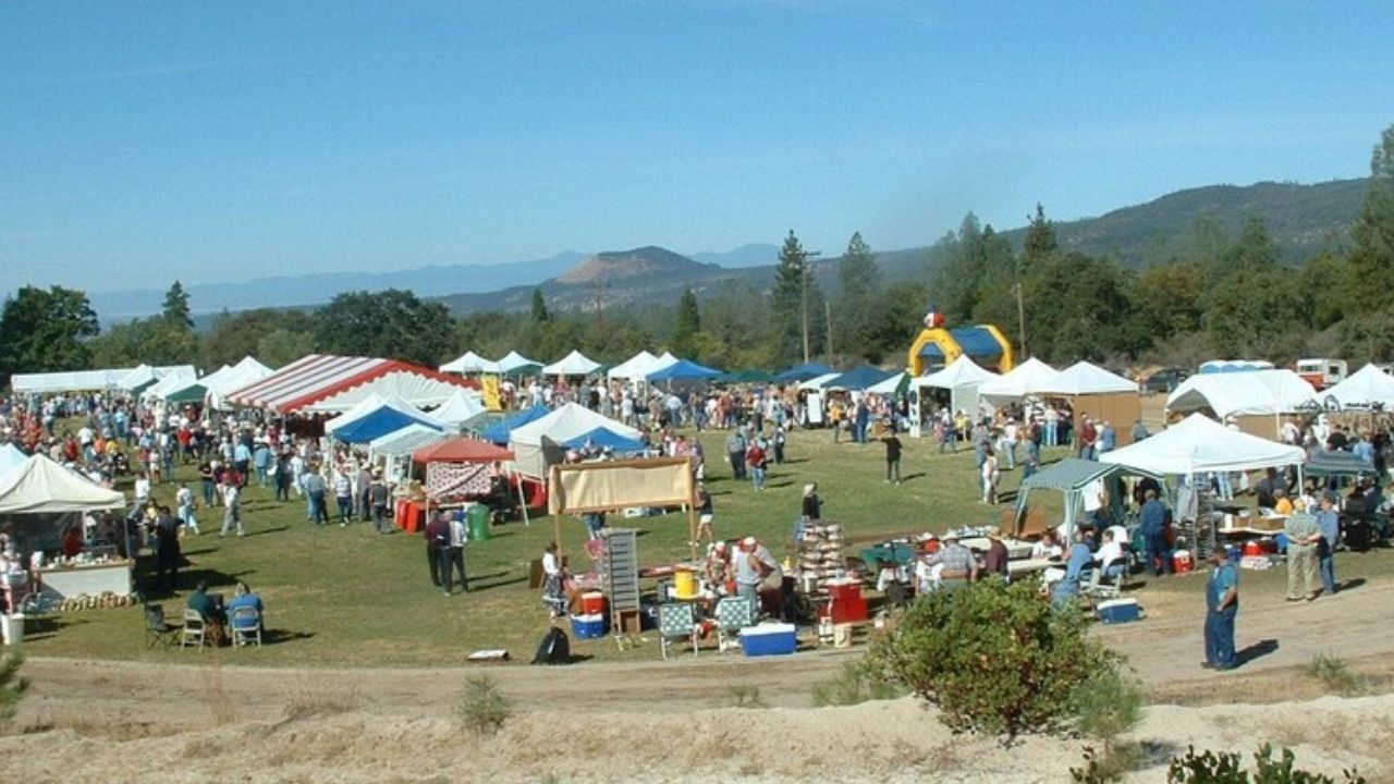 Manton Apple Festival 2025 Full Schedule, Attractions, and Apple Delights