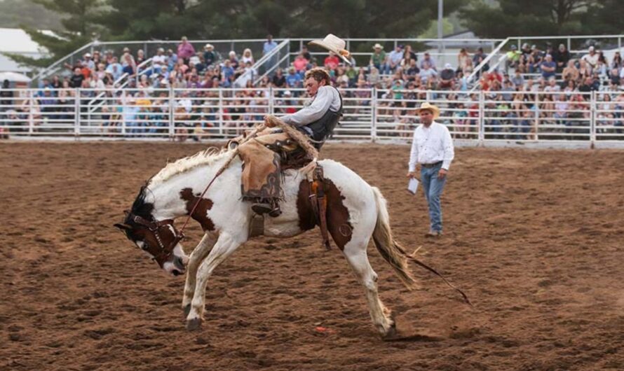 Marshalltown Harvest Festival 2025: Full Schedule, Admission Info, and Grandstand Events and Rodeos