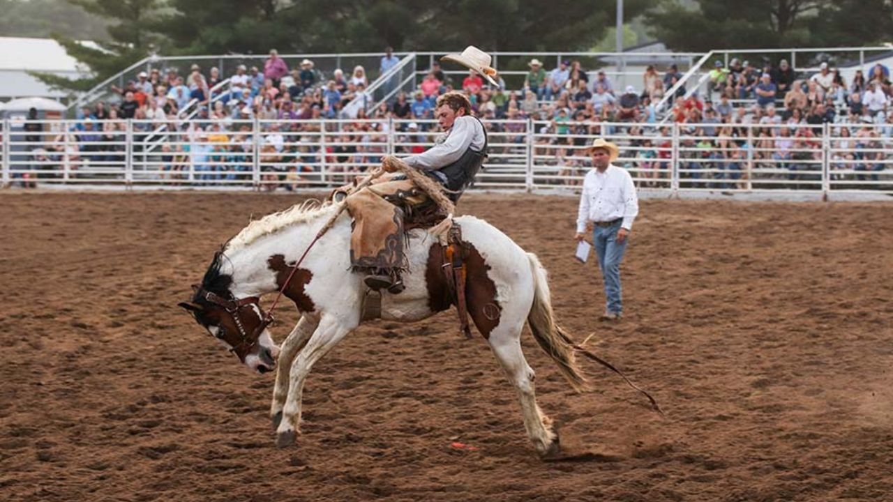 Marshalltown Harvest Festival 2025 Full Schedule, Admission Info, and Grandstand Events and Rodeos
