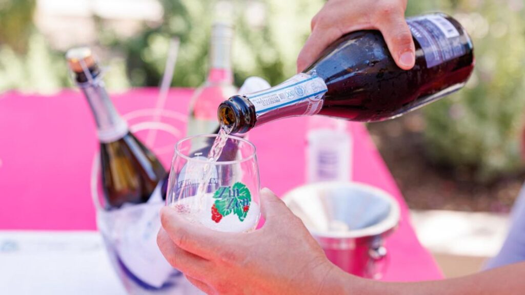 McKinney Wine and Music Festival 2025 Full Schedule, Admission Info, and Grandstand Events