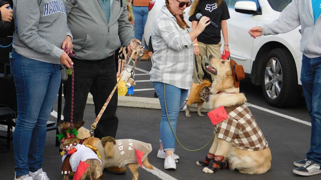 Menifee Fall Festival 2025 Full Schedule, Admission Info, and Grandstand Events and Rodeos