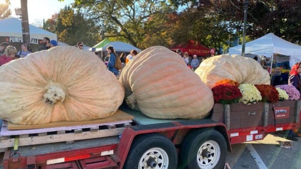 Milford Pumpkin Festival & Fair 2025 Full Schedule, Admission Info, and Grandstand Events and Competitions (1)