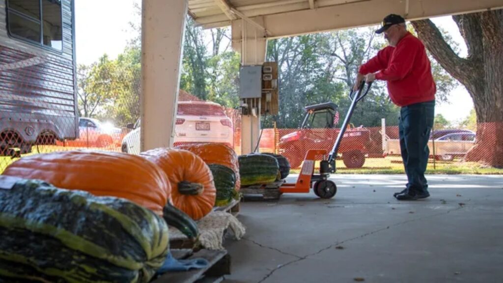 Nekoosa Giant Pumpkin Fest 2025 Full Schedule, Admission Info, and Grandstand Events (1)