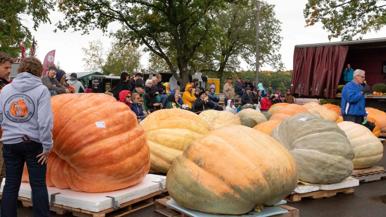 Nekoosa Giant Pumpkin Fest 2025 Full Schedule, Admission Info, and Grandstand Events
