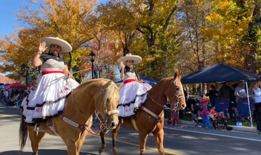 Nevada Fall Festival 2025: Rides, Rodeos, Food & Entertainment Details in for Annual Festival in Carson City