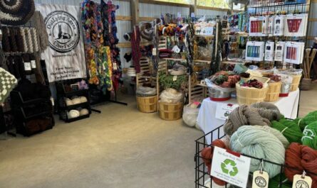 Oregon Flock and Fiber Festival 2025 Full Schedule, Admission Info, Grandstand Events and Vendors