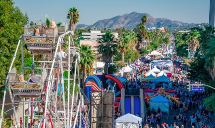 Palm Desert Street Fair 2025 Admission, Activities, Shopping and Live Entertainment