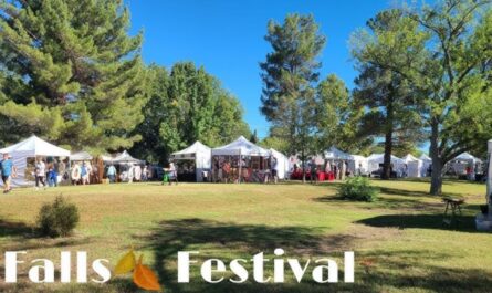Patagonia Fall Festival 2025 Full Schedule, Admission Info, and Family Activities in Arizona (2)