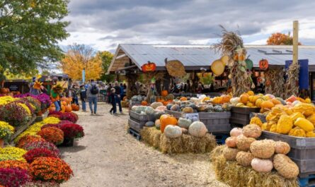 Paxico Fall Festival 2025 Full Schedule, Admission Info, Events, Stalls and Highlights (1)