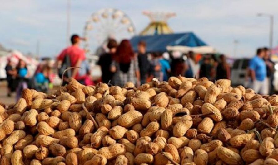 Peanut Valley Festival 2025: Full Schedule, Admission Info, Grandstand Events and Vendors