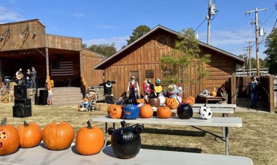 Pineville Fall Fest 2025: Full Schedule, Rides, Games, Performances and Activities