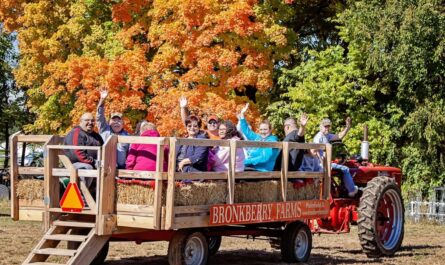 Plainfield Fall Fest 2025 Full Schedule, Admission Info, and Grandstand Events