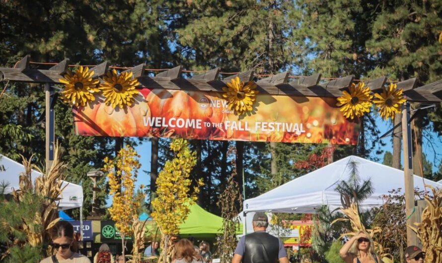 Rathdrum Family Fall Festival 2025: Full Schedule, Admission Info, and Family Activities