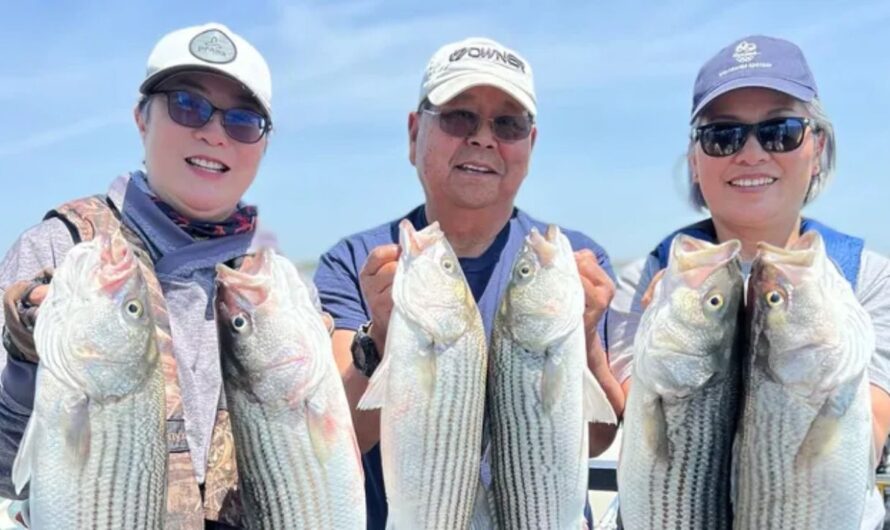 Rio Vista Bass Derby and Festival 2025: Full Schedule, Admission Info, Events and Competitions